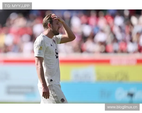 凯恩是否最强无冠球员:荣誉缺失与实力匹配度解析