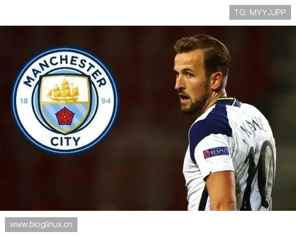 哈兰德转会曼城决策解析：体系与个人效率的极致契合