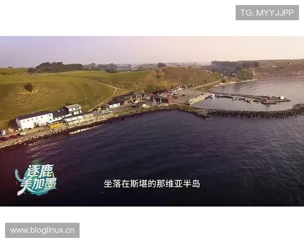 瑞典队能否在2026美加墨世界杯预选赛突围 北欧海盗冲击连续三届正赛之旅